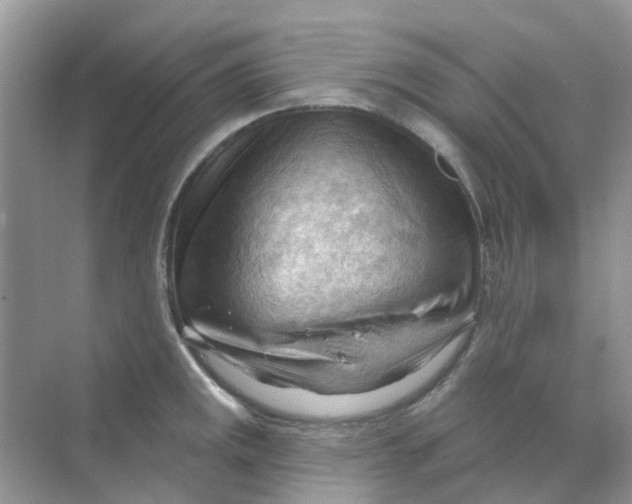 X0000070161141200606162023