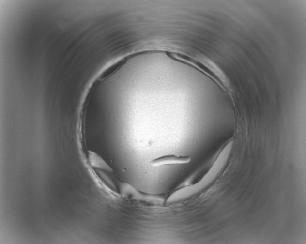 X0000070161144200606162023
