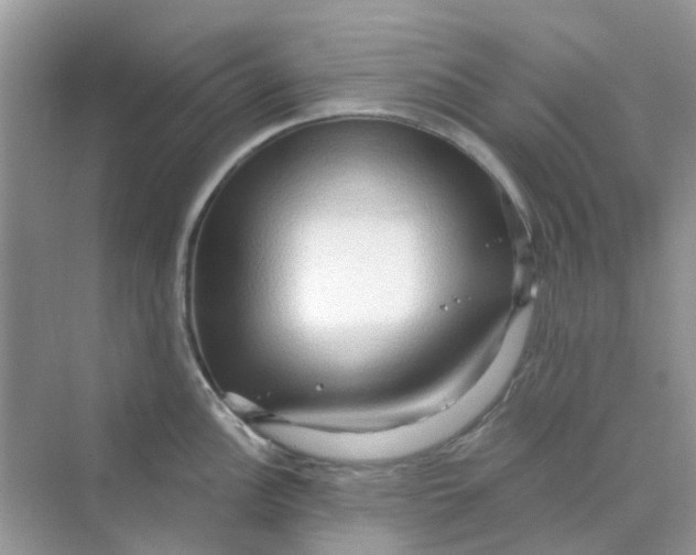 X0000070161148200606162023