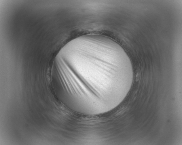 X0000070161156200606162022