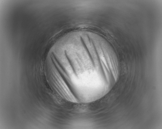 X0000070161158200606162022