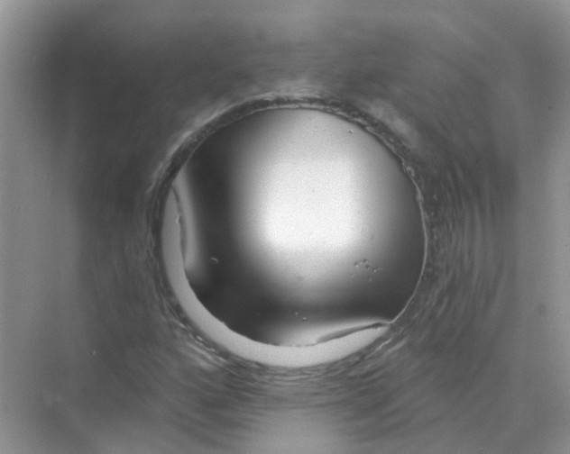 X0000070161160200606162022