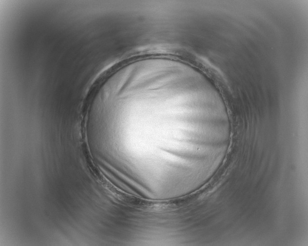 X0000070161166200606162022