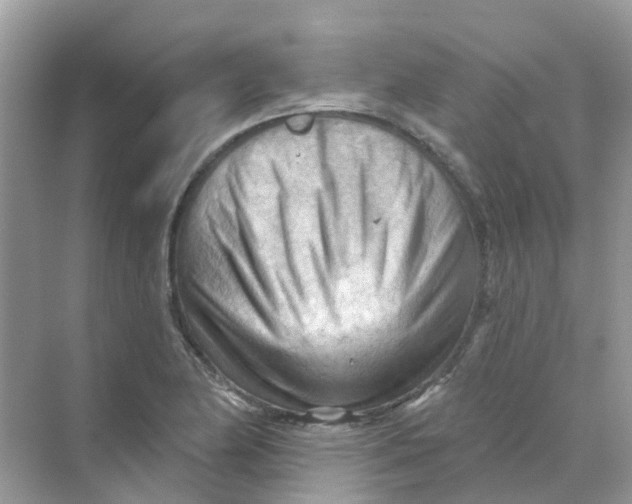X0000070161174200606162022