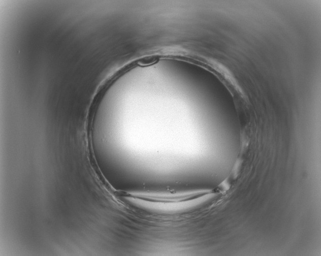 X0000070161176200606162022