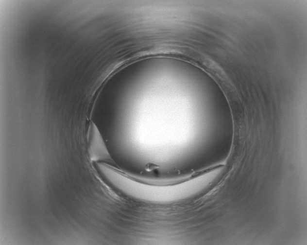 X0000070161177200606162022