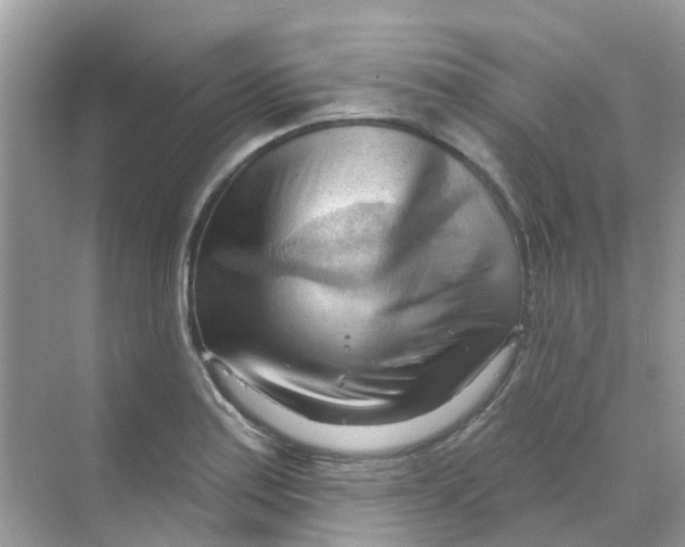 X0000070161179200606162022