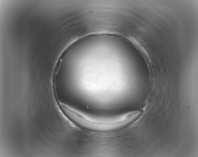 X0000070161189200606162022