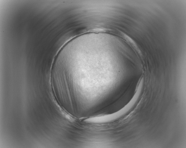 X0000070161194200606162022