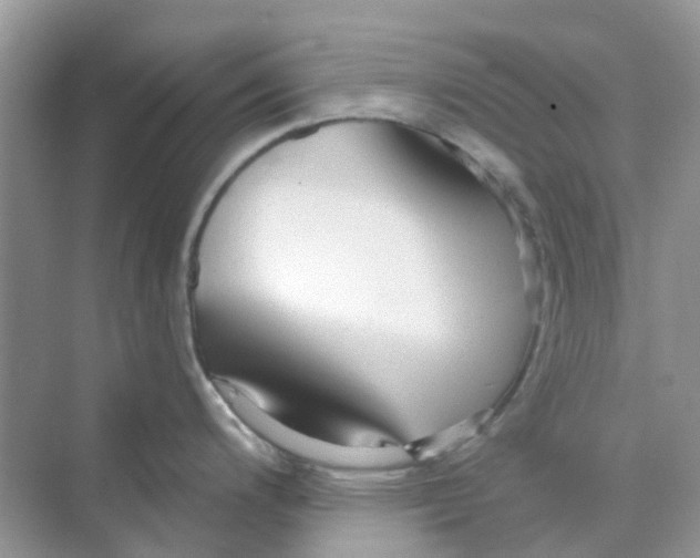 X0000070161200200606162022