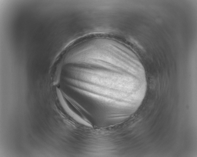 X0000070161208200606162021
