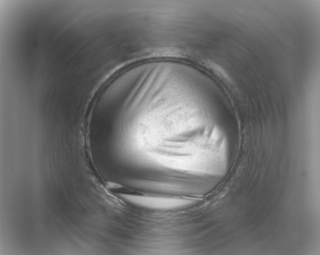 X0000070161212200606162021