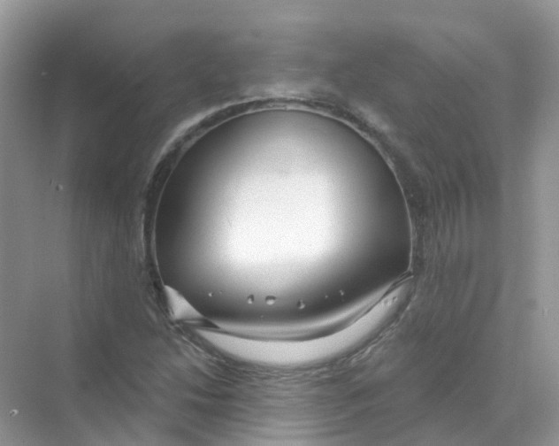 X0000070161214200606162021