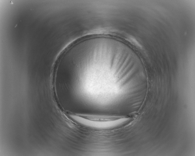 X0000070161216200606162021