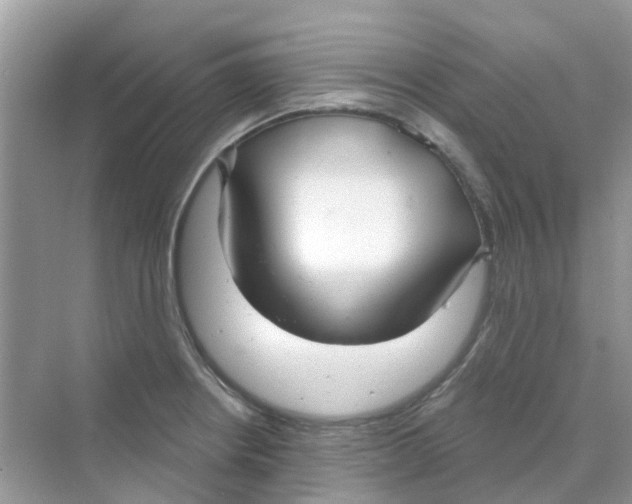 X0000070161234200606162021