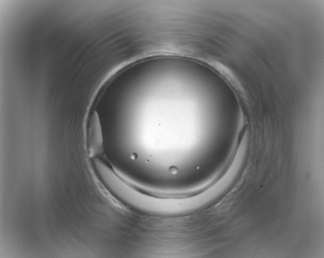 X0000070161238200606162021