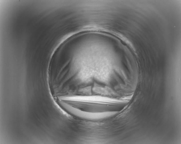 X0000070161239200606162021