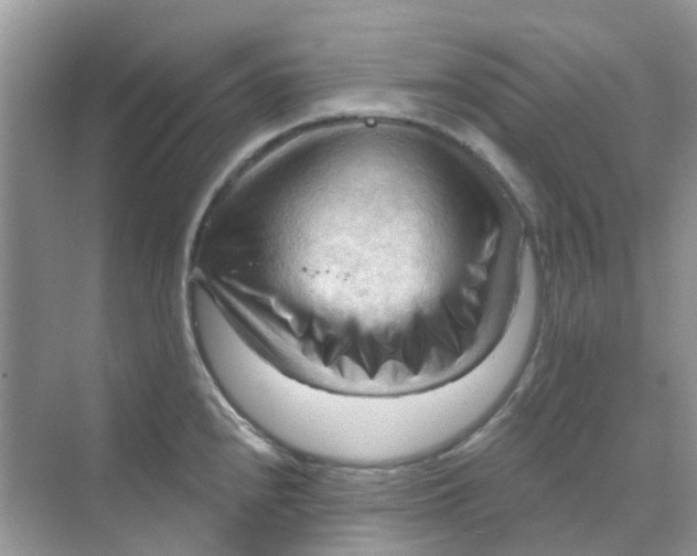X0000070161240200606162021