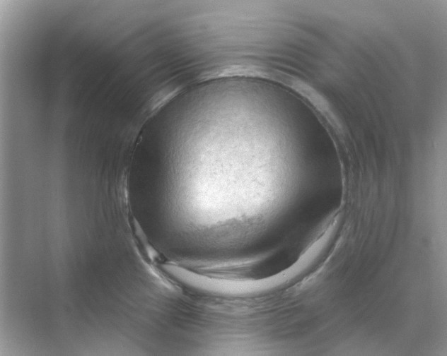 X0000070161241200606162021