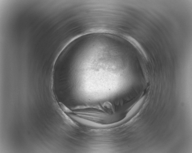 X0000070161244200606162022