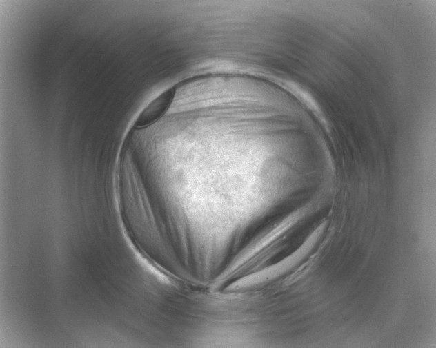 X0000070161247200606162022