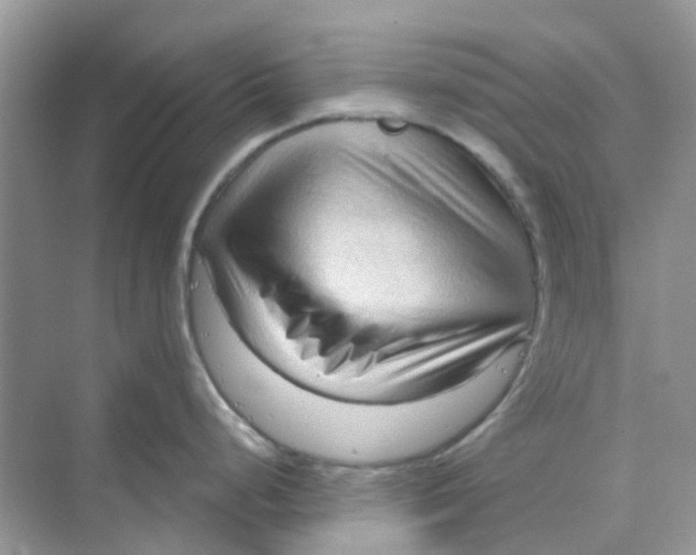 X0000070161248200606162022