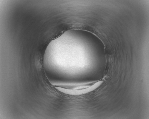 X0000070161250200606162021