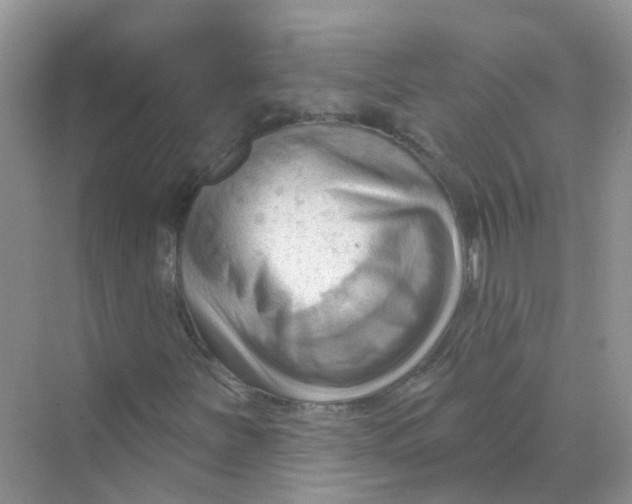 X0000070161251200606162021