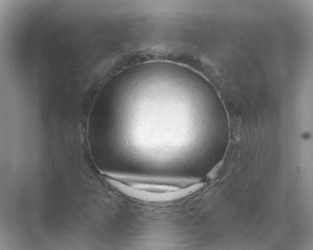 X0000070161253200606162021