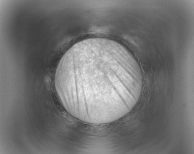 X0000070161254200606162021