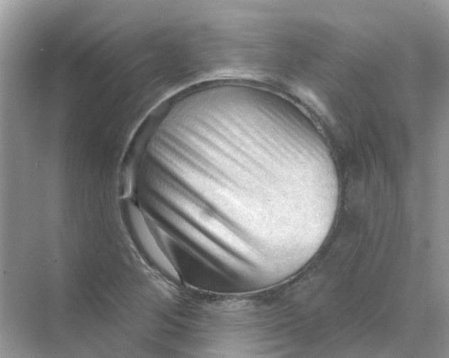 X0000070161268200606162020