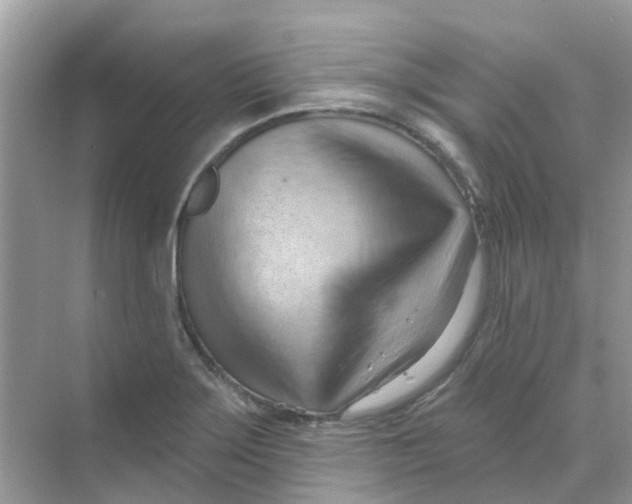 X0000070161275200606162020
