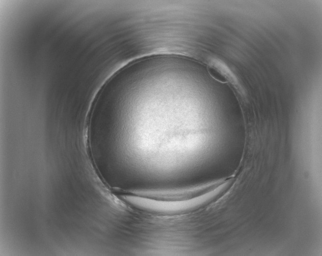 X0000070161284200606162020