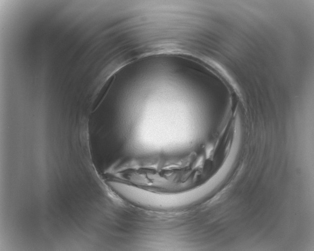 X0000070161289200606162020