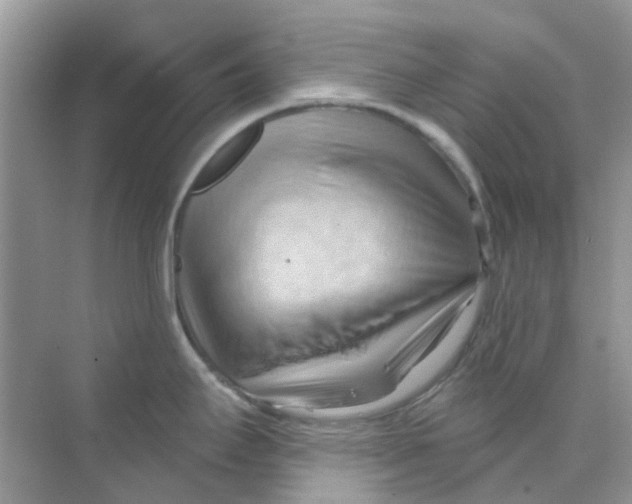 X0000070161295200606162020