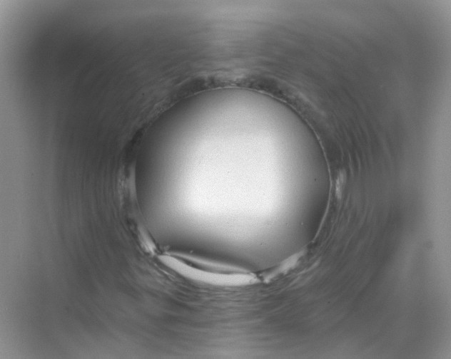 X0000070161299200606162019