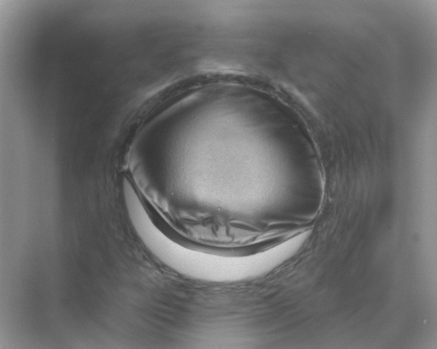 X0000070161303200606162019