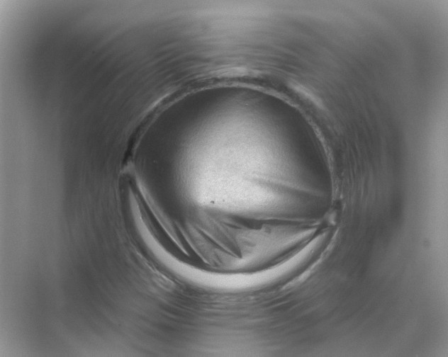 X0000070161305200606162019