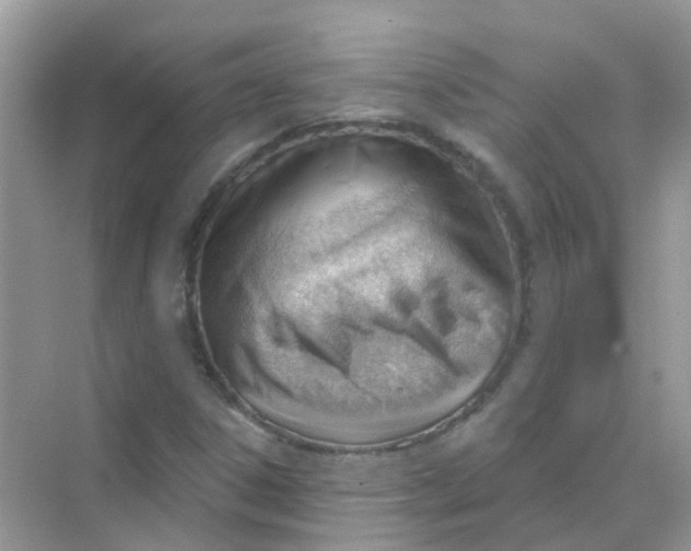 X0000070161306200606162019