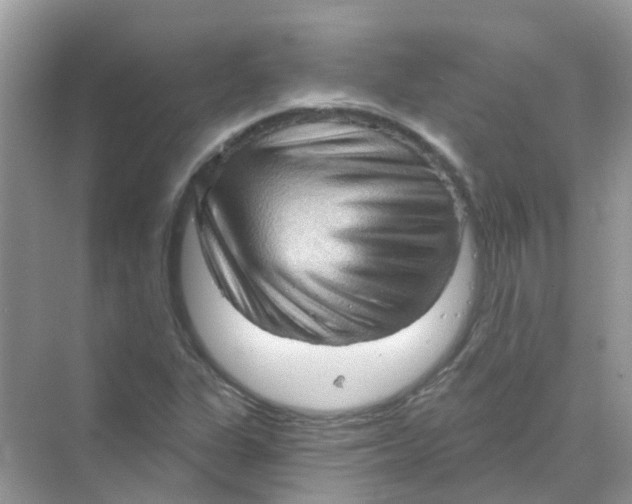 X0000070161311200606162019