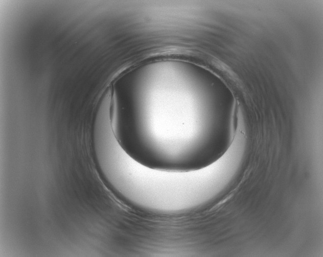X0000070161321200606162020