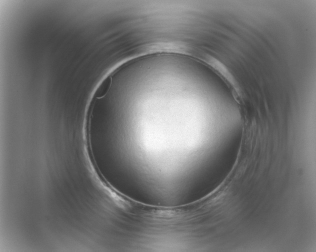 X0000070161339200606162020