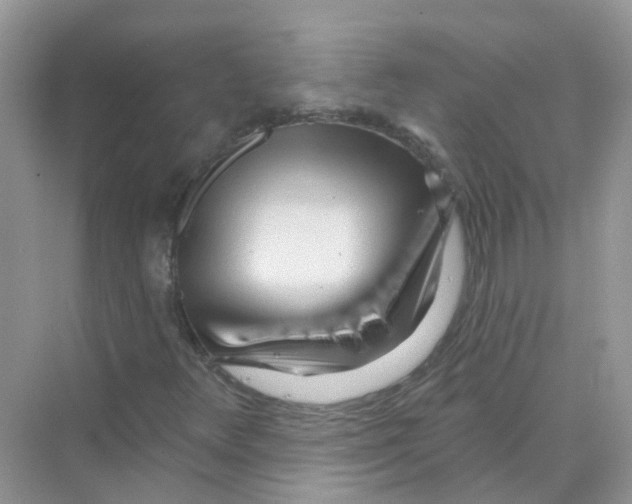 X0000070161348200606162019