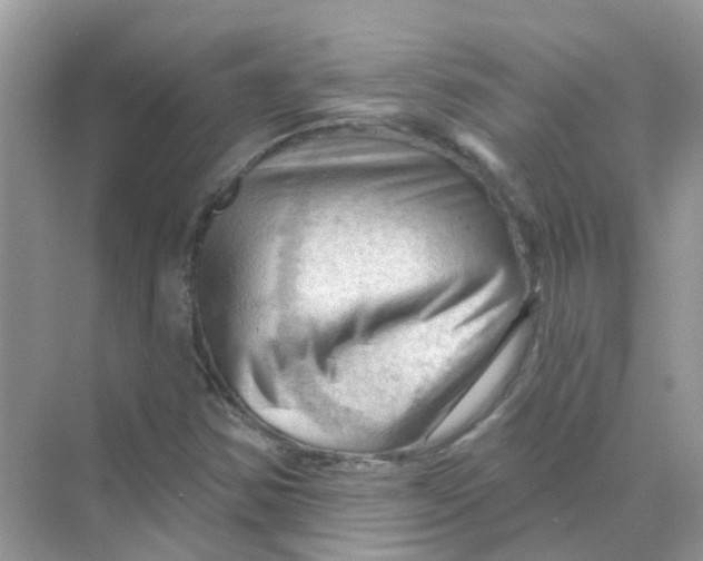X0000070161354200606162019