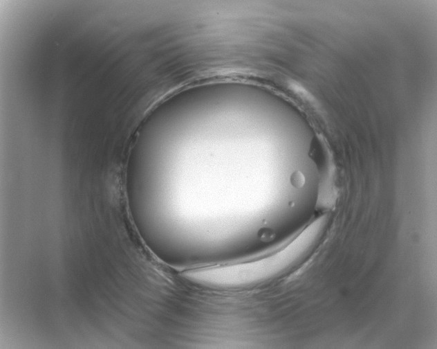 X0000070161361200606162019