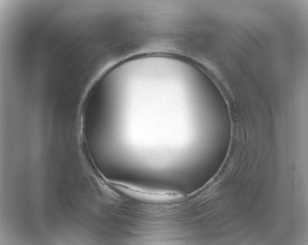 X0000070161366200606162019