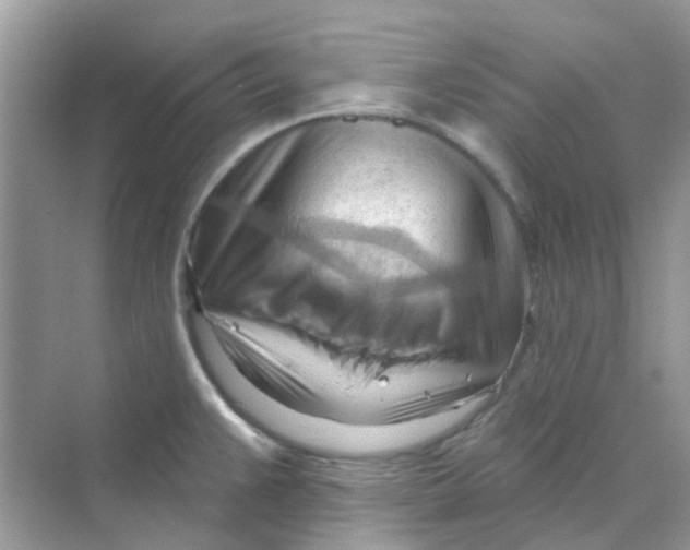 X0000070161383200606162019