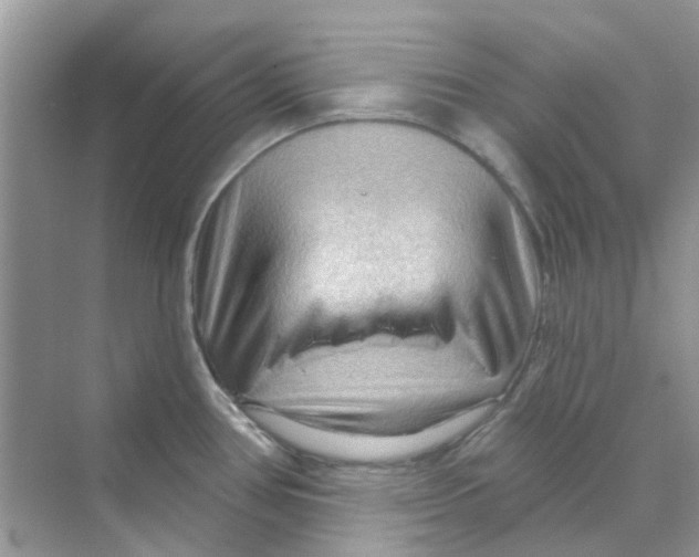 X0000070161386200606162018