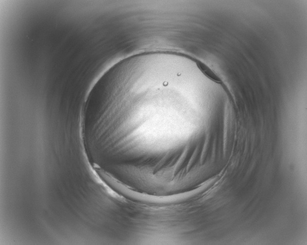 X0000070161390200606162018