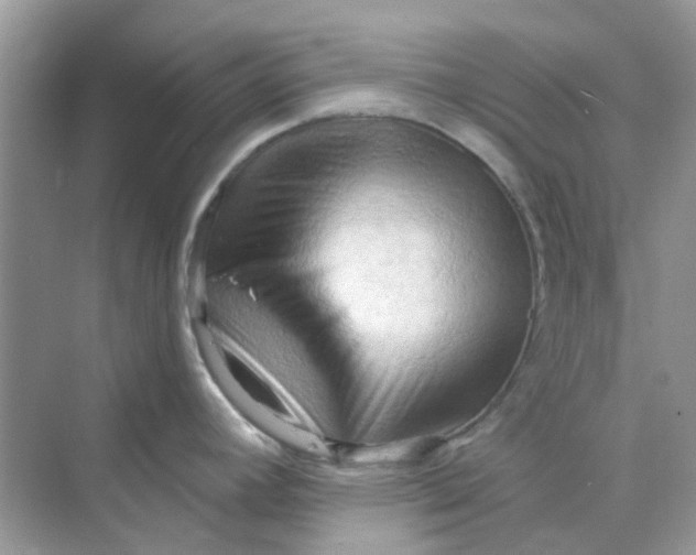 X0000070161392200606162018